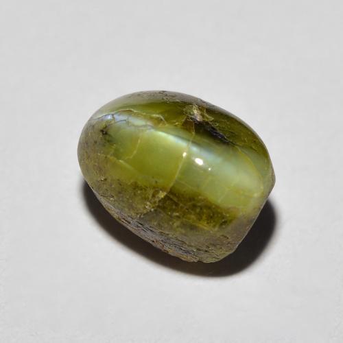 Chrysoberyl cat's eye verde natural de 3,69 ct, corte óvalo, opaco