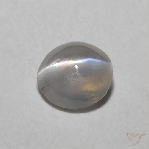 0.32ct Natural Gris muy claro Crisoberilo Ojo de Gato, Ovalada, Translúcido