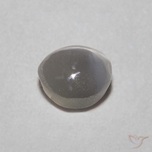 Crisoberilo Ojo de Gato Warm Grey natural de 0.38 ct, Ovalada, Translúcido