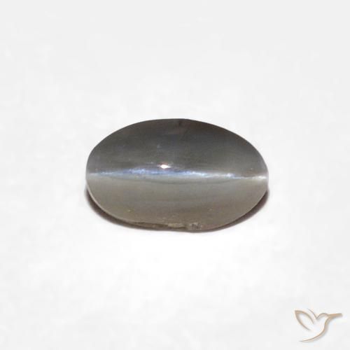 0.29ct Natural Gris muy claro Crisoberilo Ojo de Gato, Ovalada, Opaco