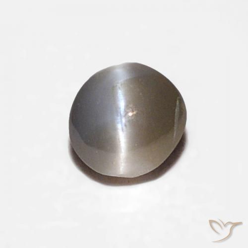 0.16ct Natural Negro grisáceo Crisoberilo Ojo de Gato, Ovalada, Opaco