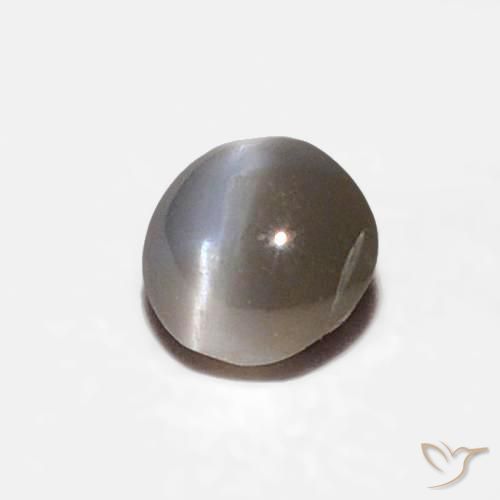 Crisoberilo Ojo de Gato Negro grisáceo natural de 0.16 ct, Ovalada, Opaco