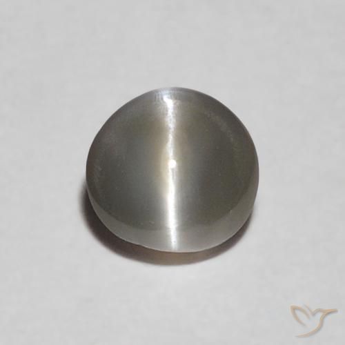 0.30ct Natural Gris muy claro Crisoberilo Ojo de Gato, Ovalada, Opaco