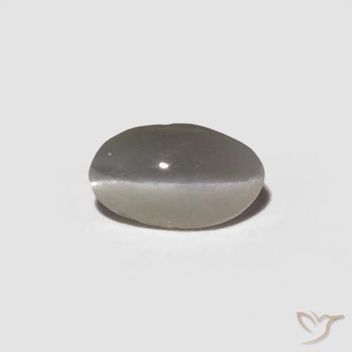 0.29ct Natural Gris muy claro Crisoberilo Ojo de Gato, Ovalada, Opaco
