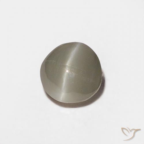 Crisoberilo Ojo de Gato Gris muy claro natural de 0.20 ct, Redondo, Opaco