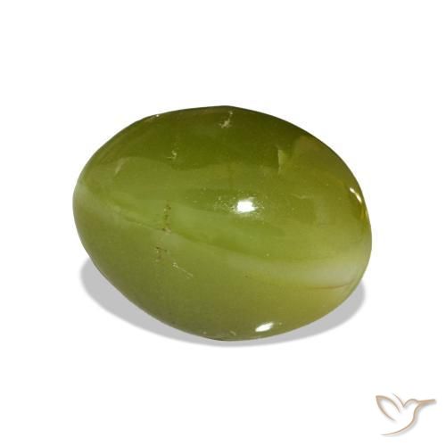 Crisoberilo Ojo de Gato Verde bosque natural de 5.24 ct, Ovalada, Opaco