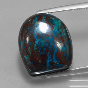 crisocola Multicolor natural de 15.63 ct, Forma elegante, Opaco