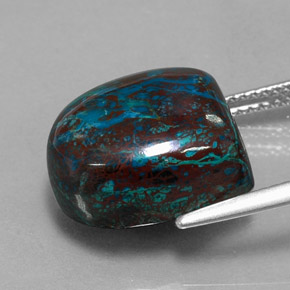 crisocola Multicolor natural de 15.63 ct, Forma elegante, Opaco