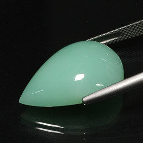 Crisoprasa verde natural de 16,75 ct, transparente, transparente / translúcido