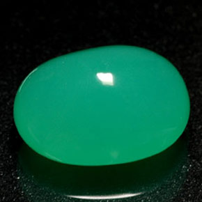 Crisoprasa verde natural de 1,69 ct, transparente, transparente / translúcido