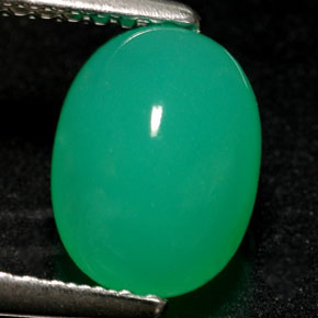 Crisoprasa verde natural de 1,69 ct, transparente, transparente / translúcido