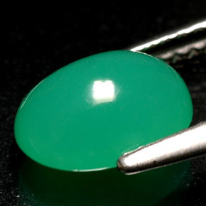 Crisoprasa verde natural de 1,69 ct, transparente, transparente / translúcido