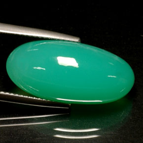 Crisoprasa verde natural de 13,72 ct, transparente, transparente / translúcido