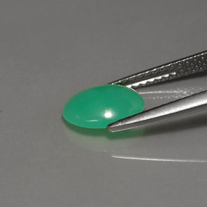 Crisoprasa Verde natural de 1.21 ct, Corte Óvalo, Translúcido