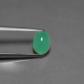 Crisoprasa verde natural de 1,57 ct, transparente, transparente / translúcido