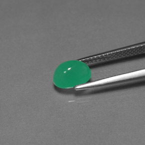 Crisoprasa verde natural de 1,51 ct, transparente, transparente / translúcido