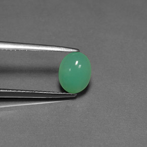 Crisoprasa verde natural de 1,27 ct, transparente, transparente / translúcido