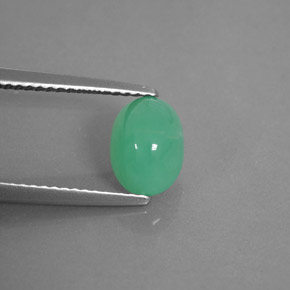 Crisoprasa verde natural de 1,66 ct, transparente, transparente / translúcido