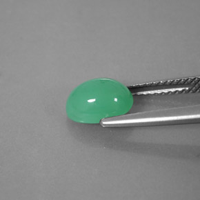 Crisoprasa verde natural de 1,66 ct, transparente, transparente / translúcido