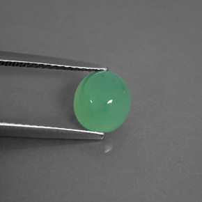Crisoprasa verde natural de 1,55 ct, transparente, transparente / translúcido