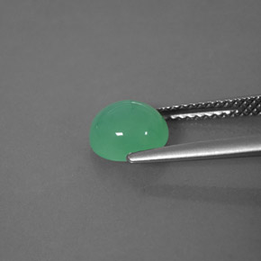 Crisoprasa verde natural de 1,55 ct, transparente, transparente / translúcido