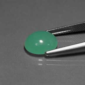 Crisoprasa verde natural de 3,50 ct, transparente, transparente / translúcido