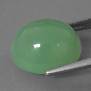 Crisoprasa verde natural de 11,83 ct, transparente, transparente / translúcido