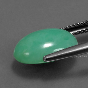 Crisoprasa verde natural de 4,43 ct, corte óvalo, opaco