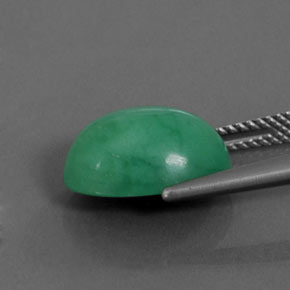 Crisoprasa verde natural de 5,69 ct, corte óvalo, opaco