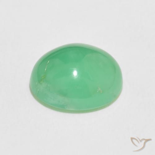 crisoprasa Verde trébol claro natural de 3.31 ct, Ovalada, Opaco