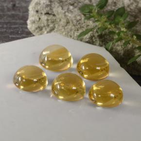 Gemas de citrino oro natural de  ct, corte redondo, transparente