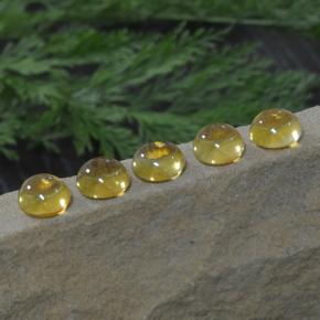 Gemas de citrino amarillo natural de 11,14 ct, corte redondo, transparente