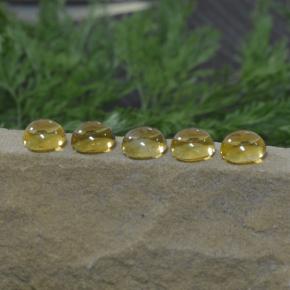 Gemas de citrino amarillo natural de 11,14 ct, corte redondo, transparente