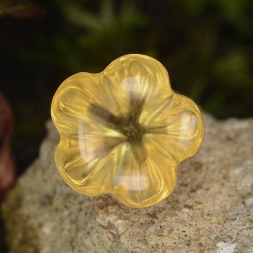 1.47ct Natural Medium Gold  Citrino, Corte Flor, Transparente