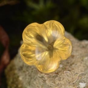Citrino Medium Gold  natural de 1.47 ct, Corte Flor, Transparente