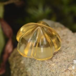 Citrino Medium Gold  natural de 1.47 ct, Corte Flor, Transparente