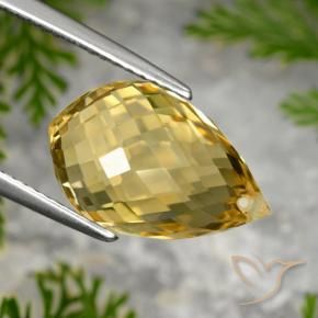 Citrino Dorado medio natural de 8.48 ct, Corte Briolette, VVS