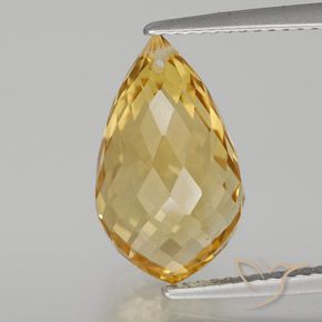 6.82ct Natural Dorado claro medio Citrino, Corte Briolette, VVS