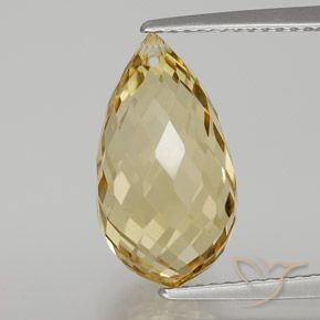6.65ct Natural Dorado Citrino, Corte Briolette, VVS