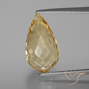 7.22ct Natural Dorado Citrino, Corte Briolette, VVS