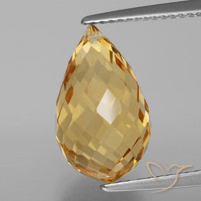 6.21ct Natural Dorado Citrino, Corte Briolette, VVS