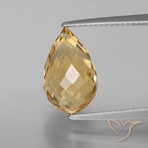 5.05ct Natural Dorado Citrino, Corte Briolette, VVS-VS