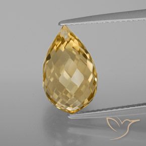 6.04ct Natural Dorado claro medio Citrino, Corte Briolette, VVS
