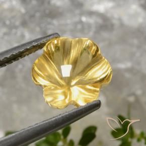 Citrino Dorado intenso natural de 2.78 ct, Corte Flor, Transparente