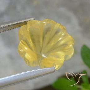 Citrino Amarillo claro natural de 3.07 ct, Corte Flor, Transparente