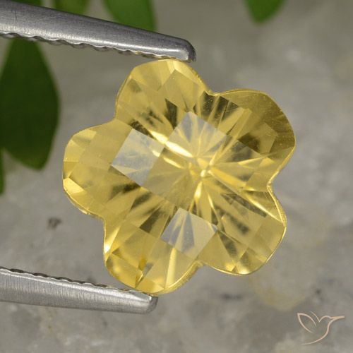 1.63ct Natural Amarillo medio Citrino, Corte Flor, Transparente