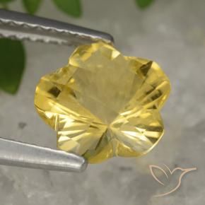 Citrino Amarillo medio natural de 1.63 ct, Corte Flor, Transparente