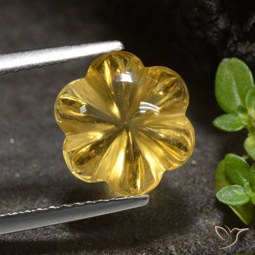 3.34ct Natural Dorado medio Citrino, Corte Flor, Transparente