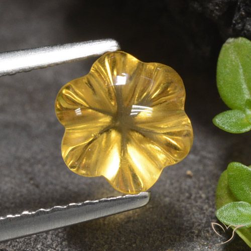 1.66ct Natural Dorado medio Citrino, Corte Flor, Transparente