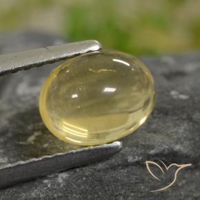 Citrino Amarillo-dorado claro natural de 1.59 ct, Ovalada, Transparente